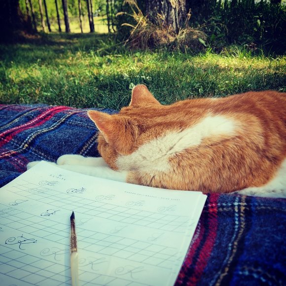 Meet your Posher, Liv - Picture 6 of 10